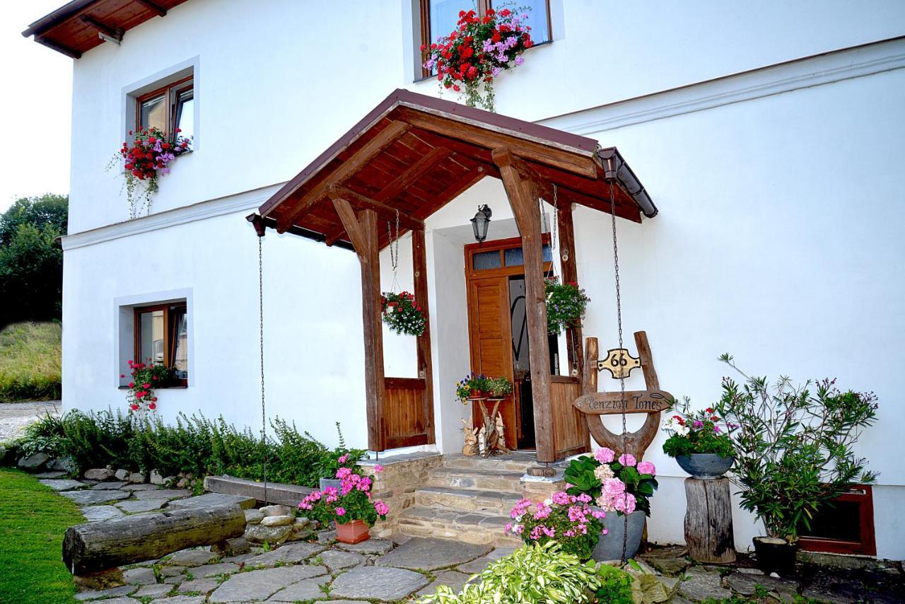 Apartmany Tones Hanusovice ภายนอก รูปภาพ